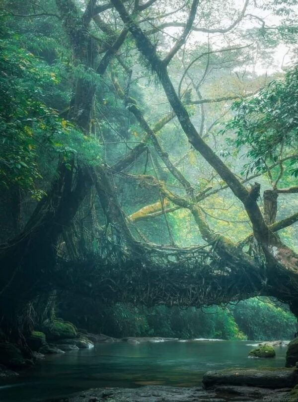 meghalaya tour